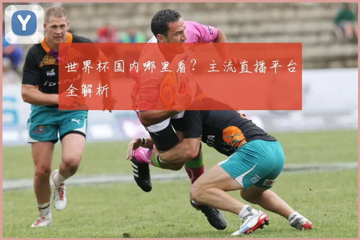 世界杯国内哪里看？主流直播平台全解析
