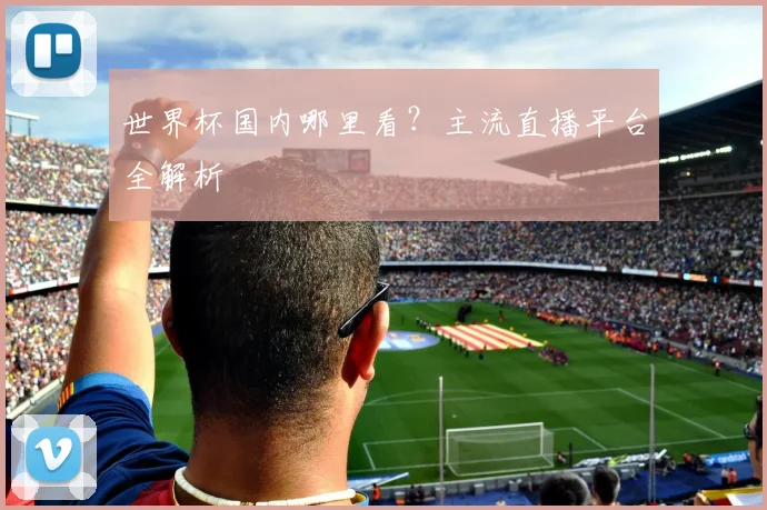 世界杯国内哪里看？主流直播平台全解析